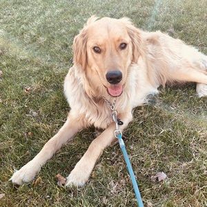 Meet your Posher, Kaitlyn